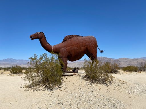 A large metal sculpture of a camel stands in a desert landscape with sparse vegetation.