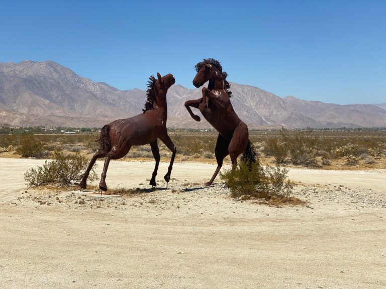 Borrego Springs Horses Borrego Springs Horses