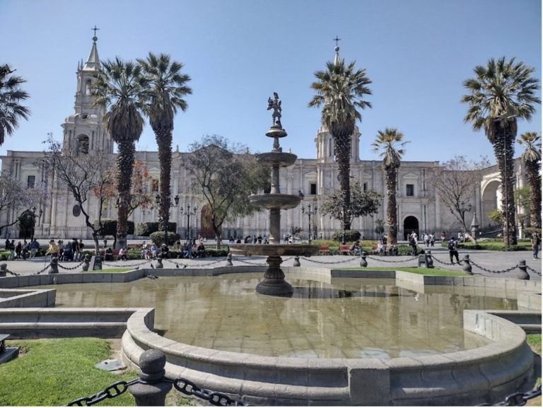 Fountain surrounded by palm trees and a historic building in a sunny park setting.