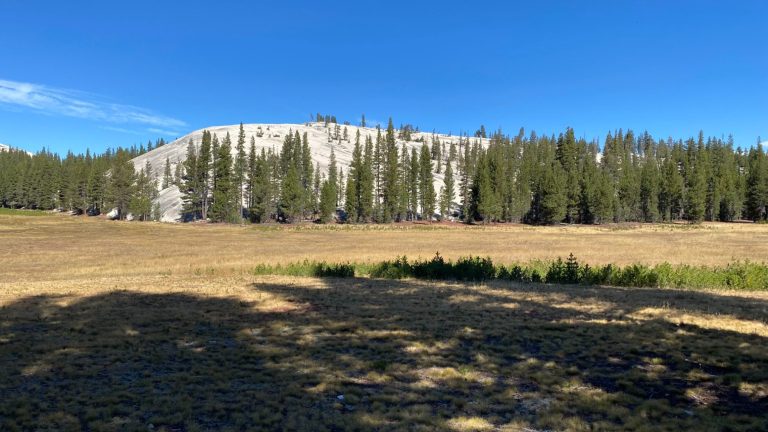 Green forested area with a large rocky outcrop under a clear blue sky.