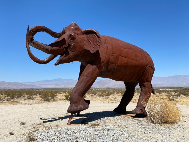 Borrego Springs Mammouth Borrego Springs Mammouth