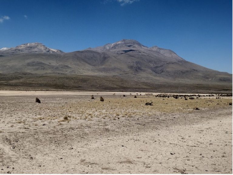 A barren landscape with mountains in the background and grazing animals nearby.