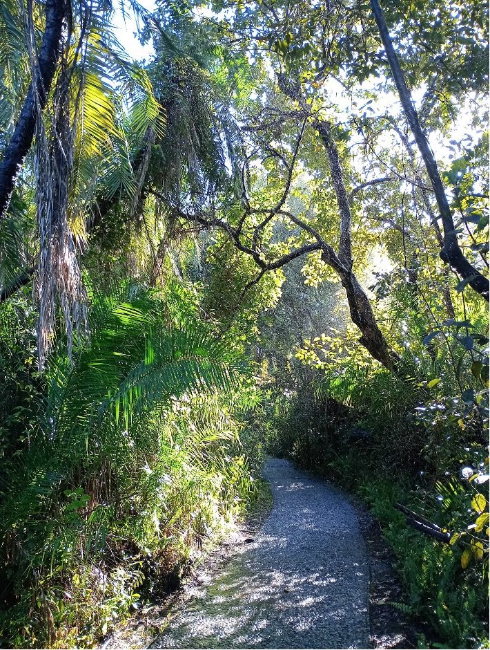 A winding path through lush green vegetation and trees.
