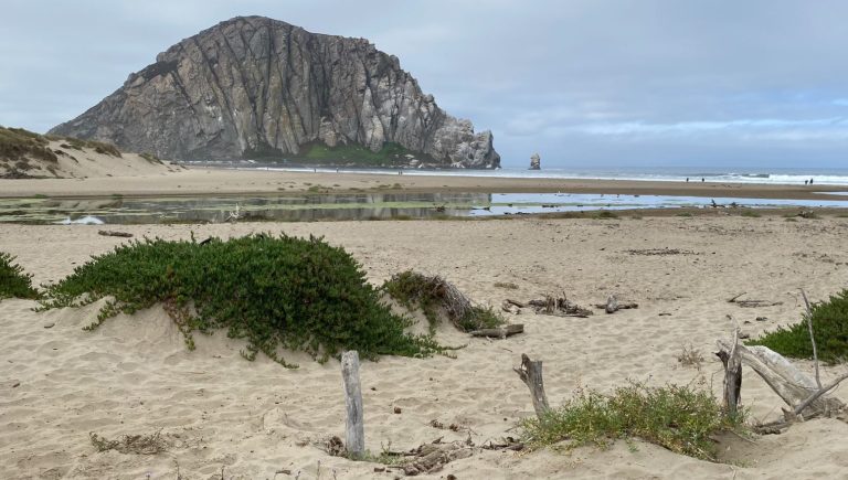 Coastal landscape featuring a sandy beach, green vegetation, and a prominent rocky hill.
