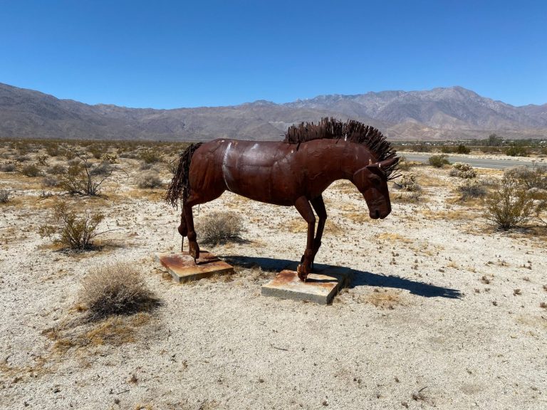 Borrego Springs Horses Borrego Springs Horses