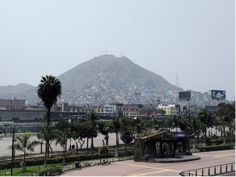 A view of a hill in a city, with palm trees and urban structures in the foreground.