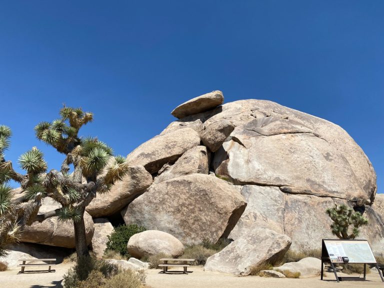 Large boulder formation with scattered Joshua trees under a clear blue sky.