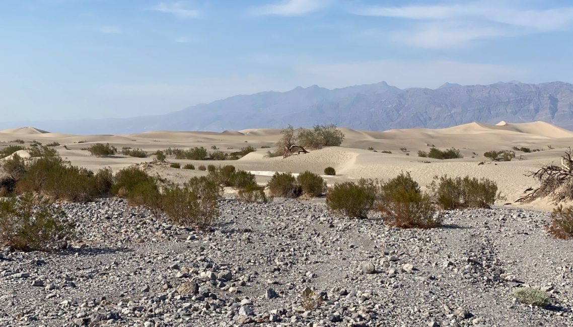 Mesquite Flat Sand Dunes, Death Valley Mesquite Flat Sand Dunes, Death Valley