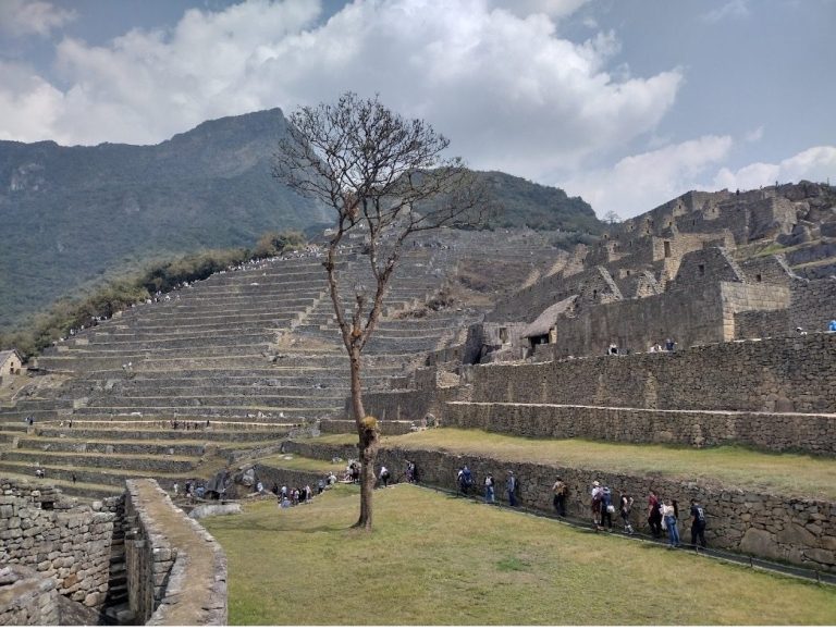 Ruins of an ancient site with stone structures, a tree, and mountains in the background.